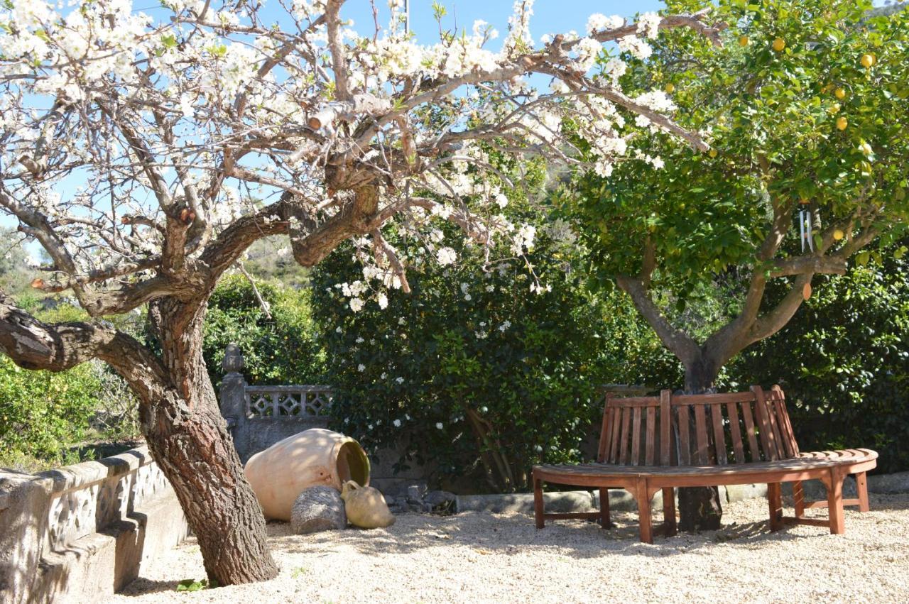 Casa Jiby Apartment Llosa de Camacho Luaran gambar
