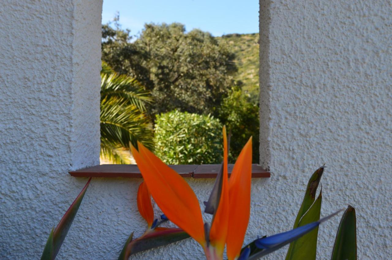 Casa Jiby Apartment Llosa de Camacho Luaran gambar