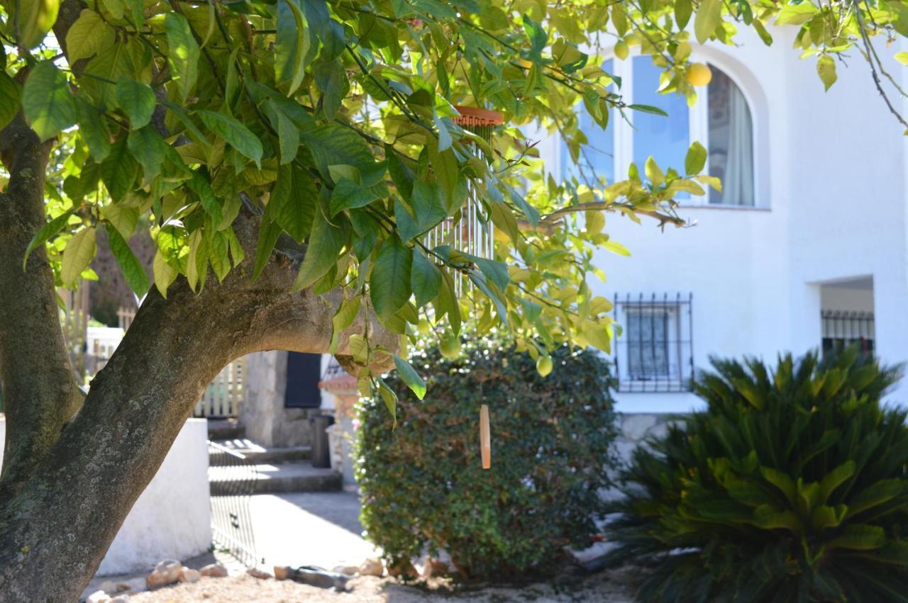 Casa Jiby Apartment Llosa de Camacho Luaran gambar