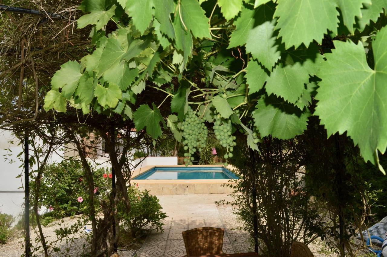 Casa Jiby Apartment Llosa de Camacho Luaran gambar