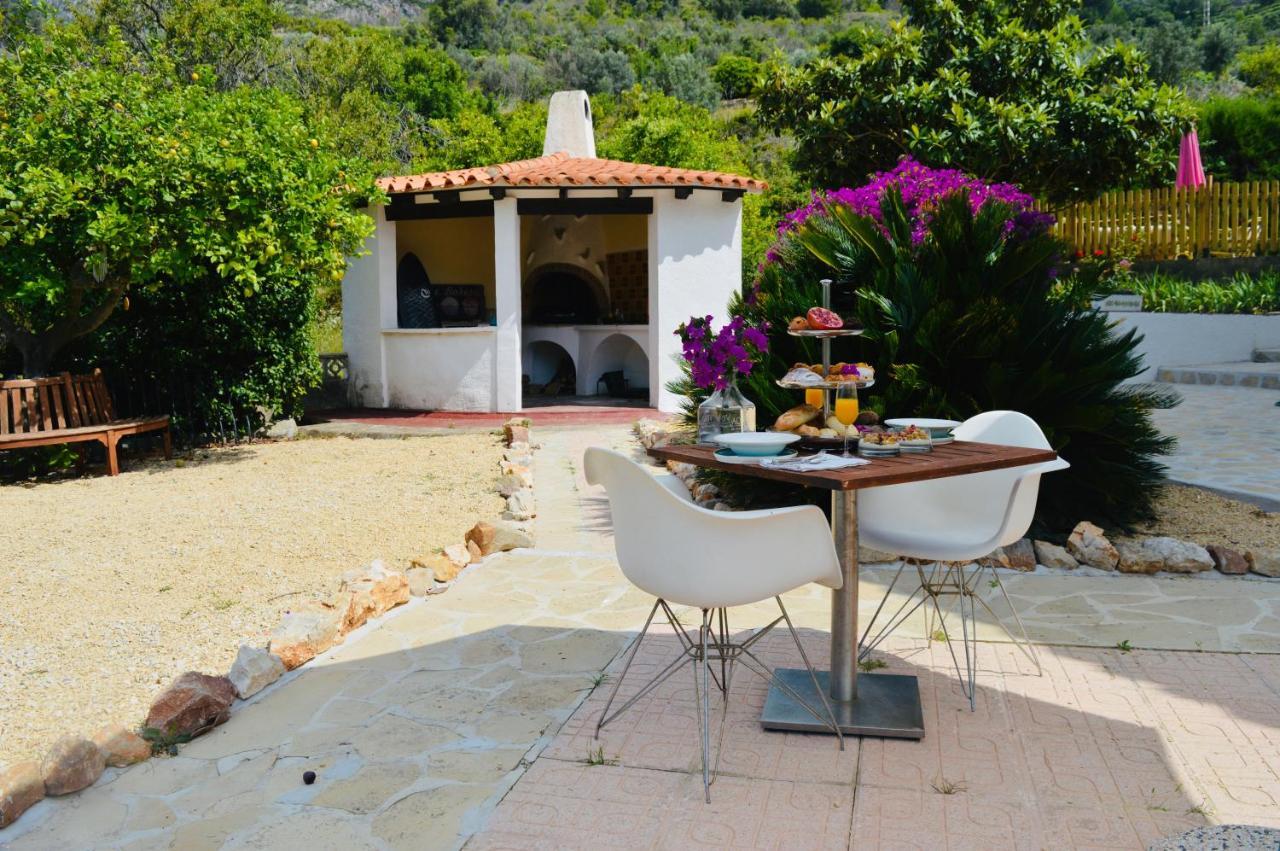 Casa Jiby Apartment Llosa de Camacho Luaran gambar